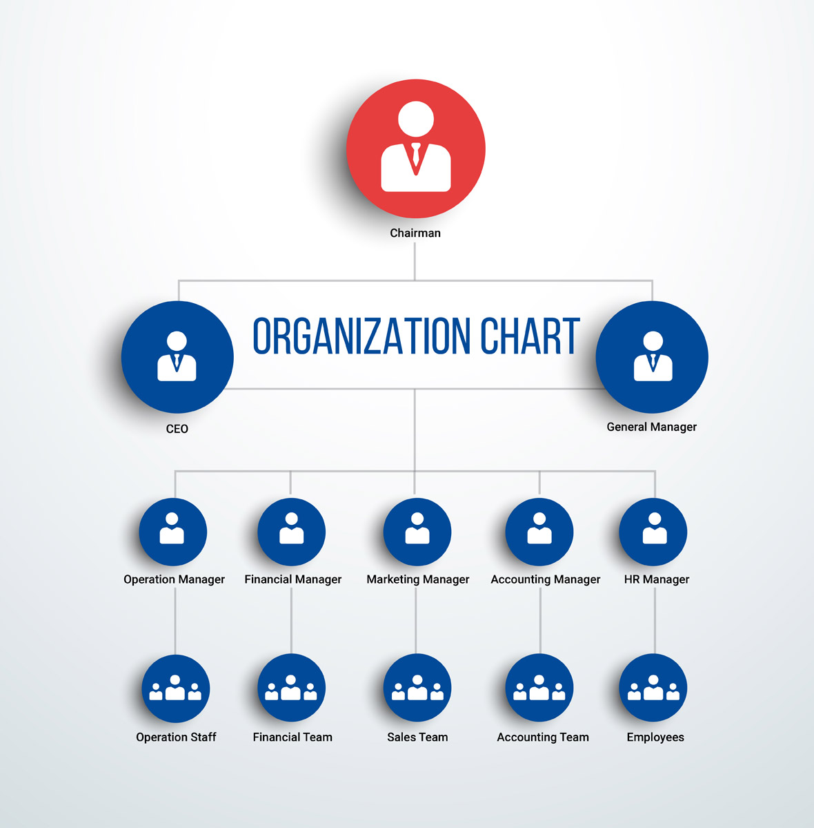 organization-chart organization-chart