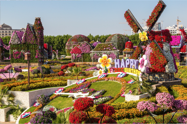 Miracle Garden Miracle Garden