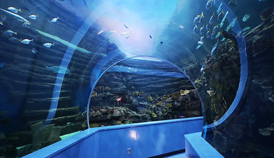 Sharjah Aquarium